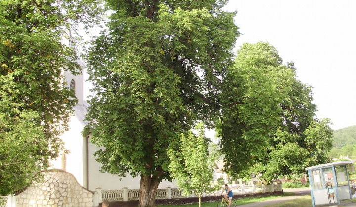 Zobraziť fotografiu